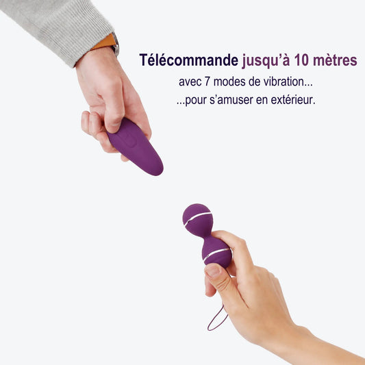 Dalia Boules de geisha télécommandées 3-en-1