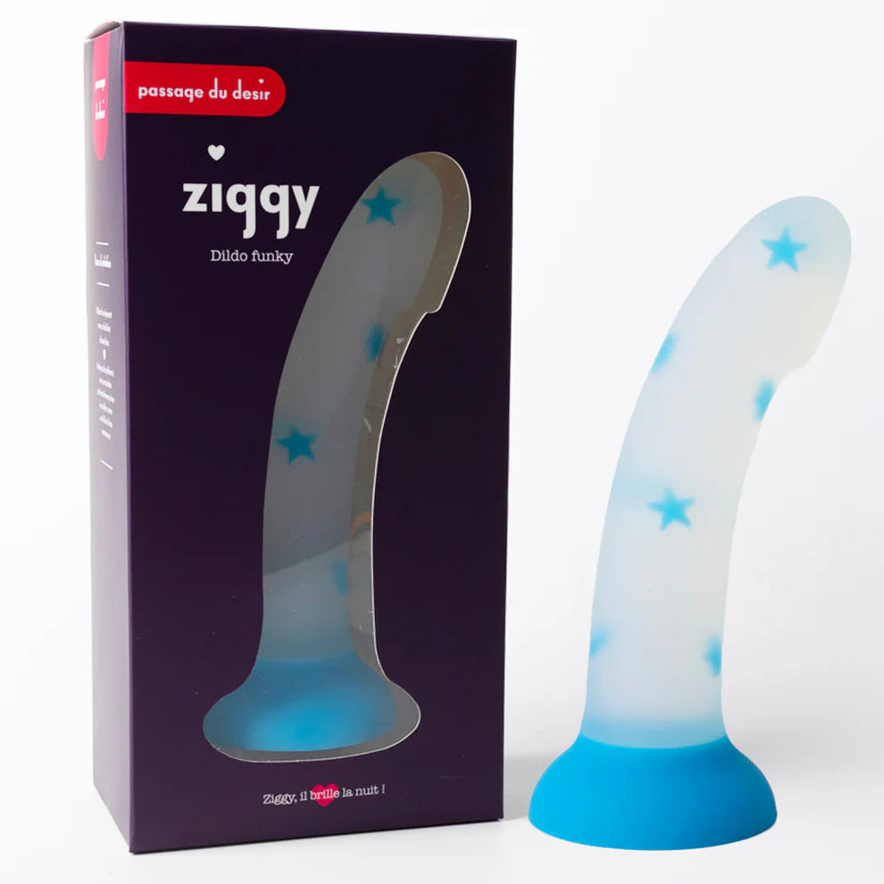 Le dildo ventouse funky