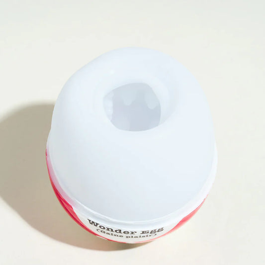 Œuf Surprise Wonder Egg