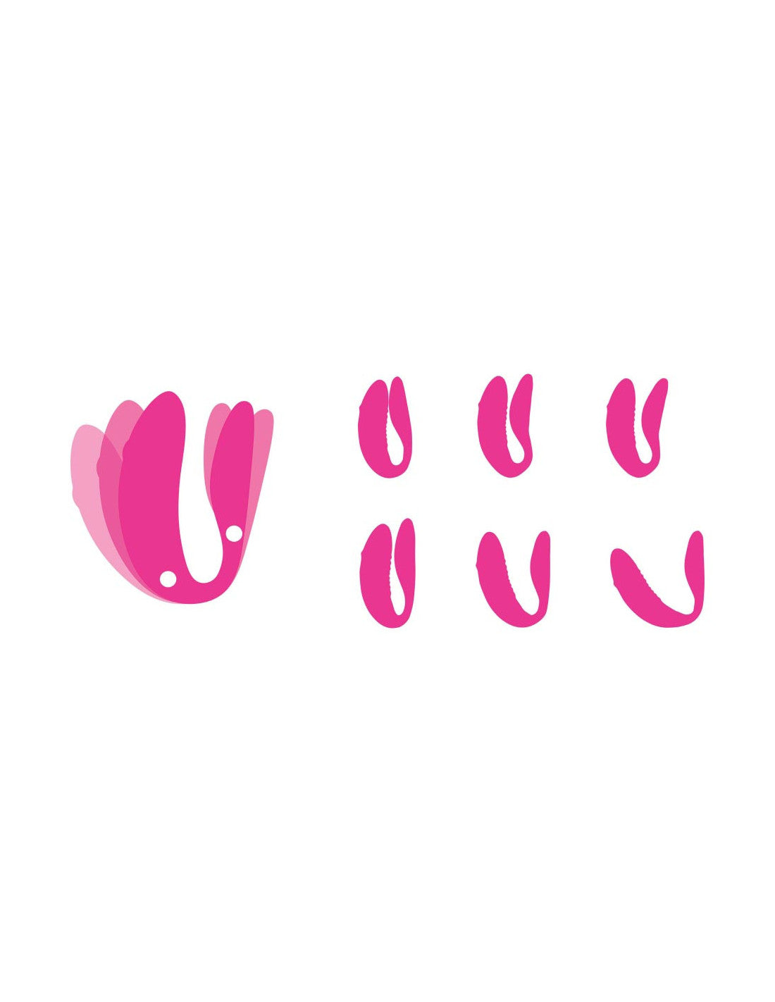 Chorus