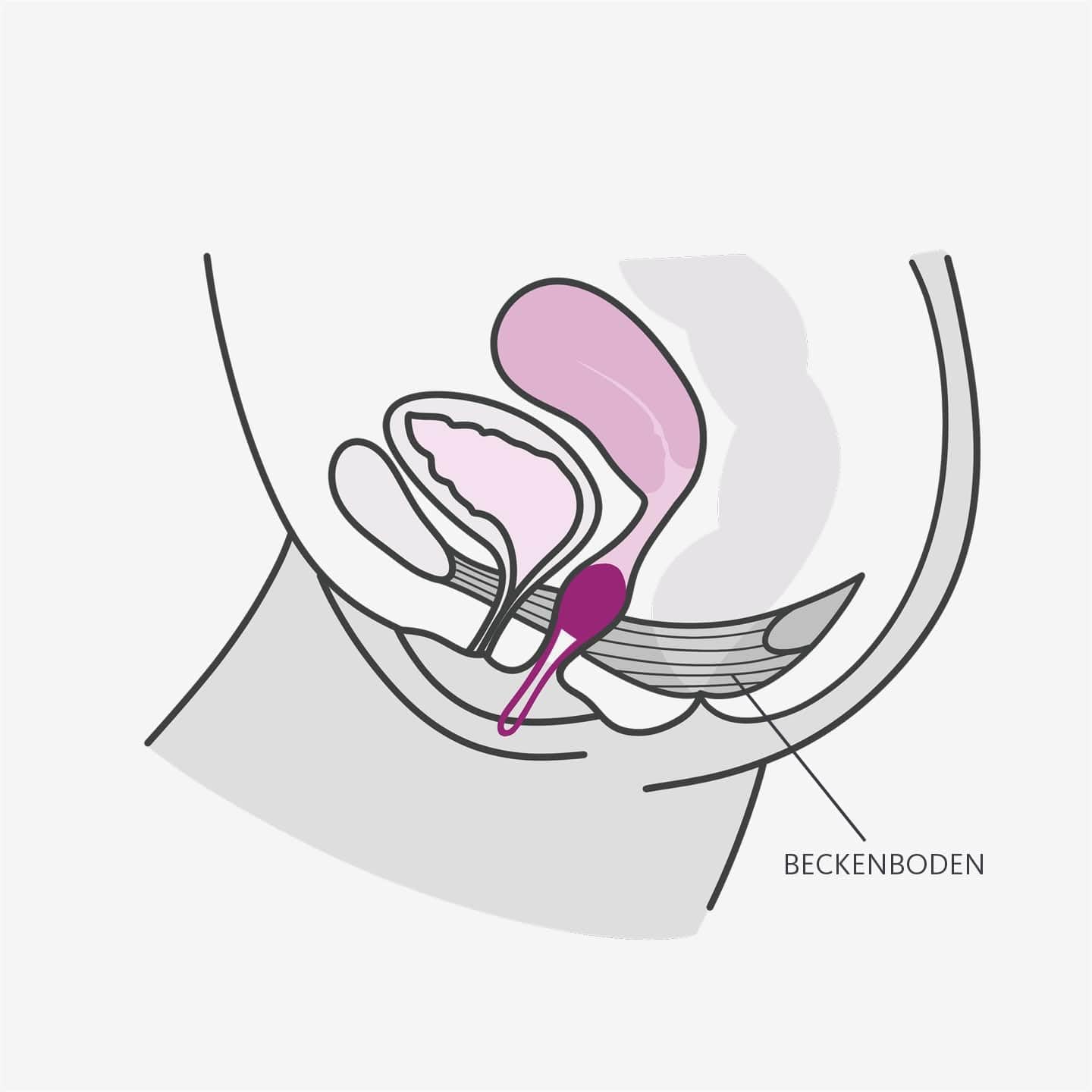 La boule de Kegel Smartball Uno