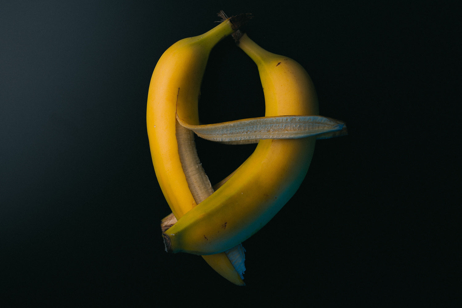 Plutôt conçus pour... Penis 🍆