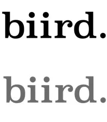 Biird