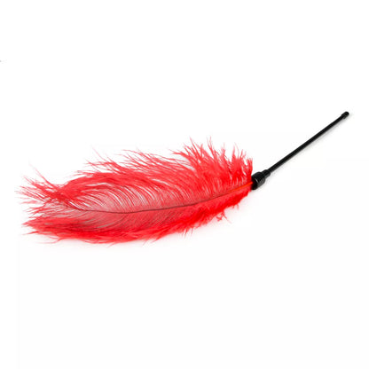 Fouet à plume rouge