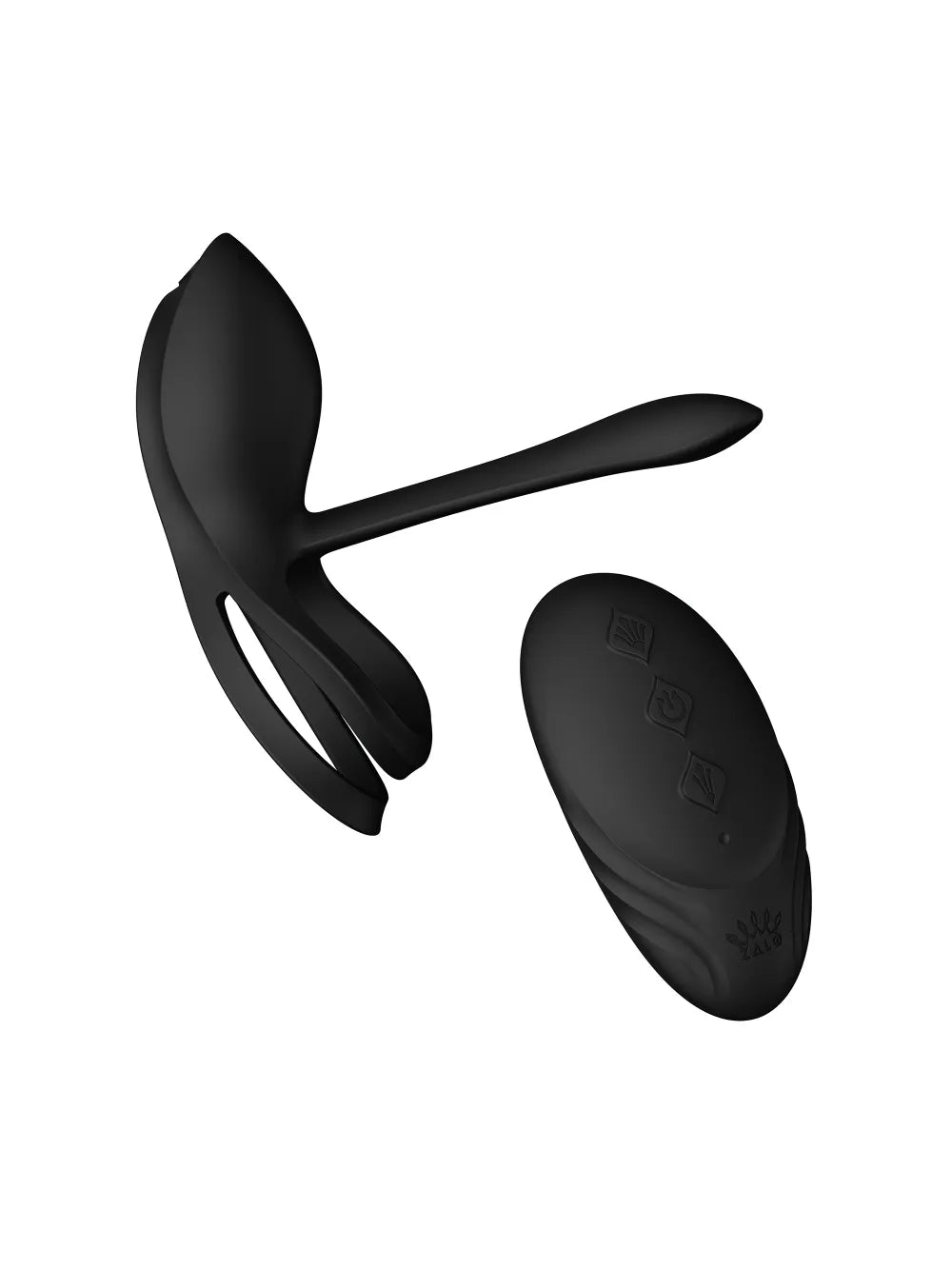 Bayed, l'anneau vibrant