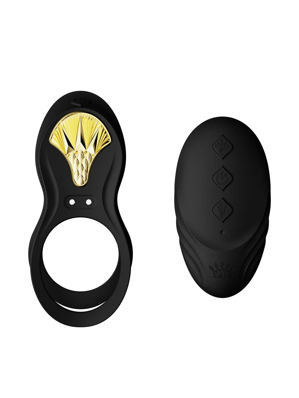 Bayed, l'anneau vibrant