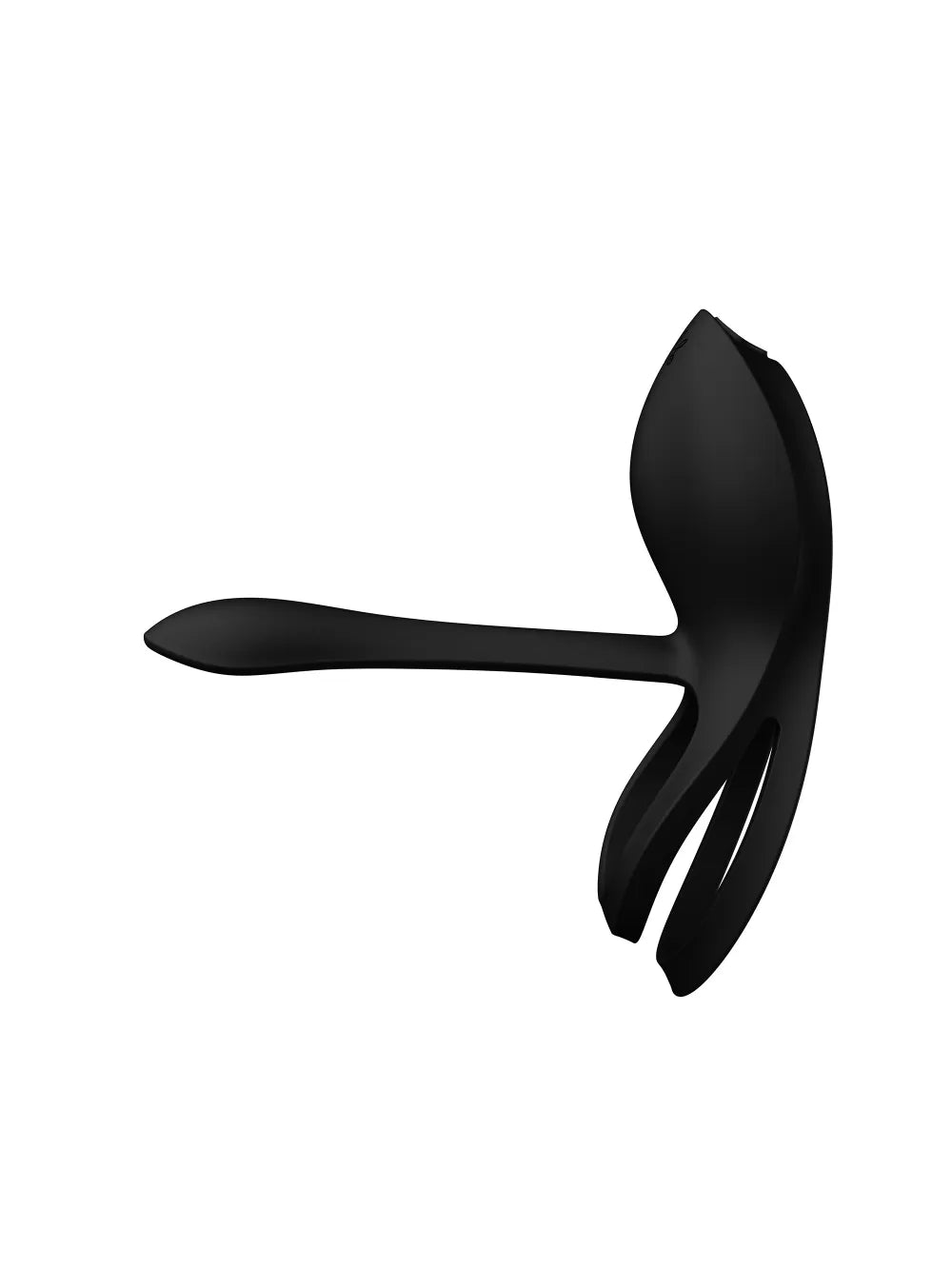 Bayed, l'anneau vibrant