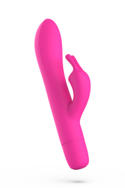 Bwild Bunny Infinite Classic LIMITED EDITION