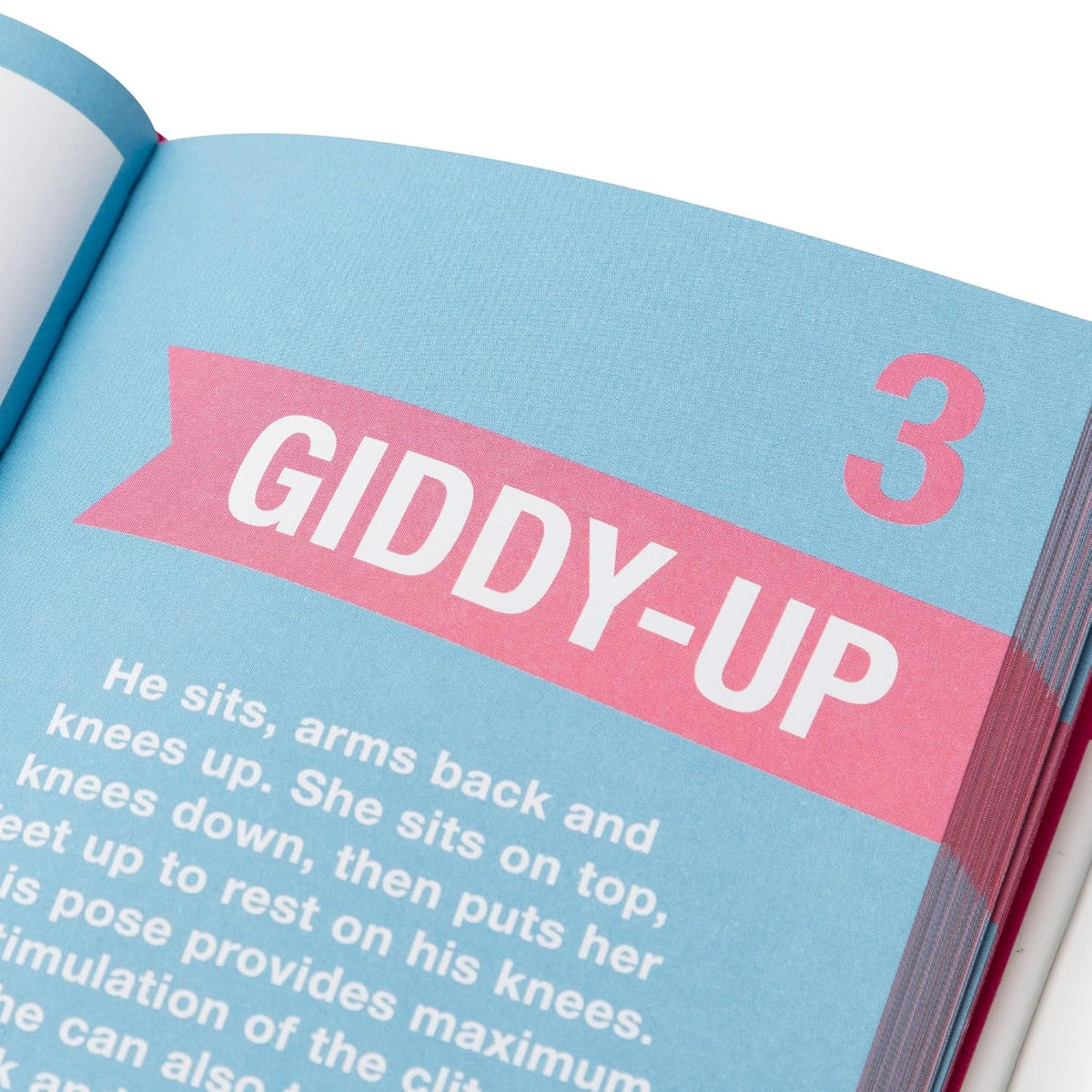 Position of the Week, le livre de positions de Lovehoney (Anglais)