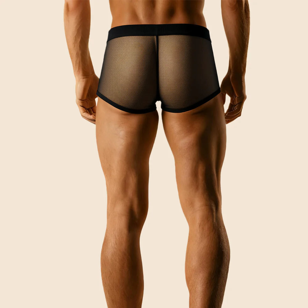 Basil, le boxer transparent