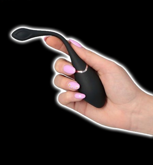 Œuf vibrant télécommandé Dirty Mind