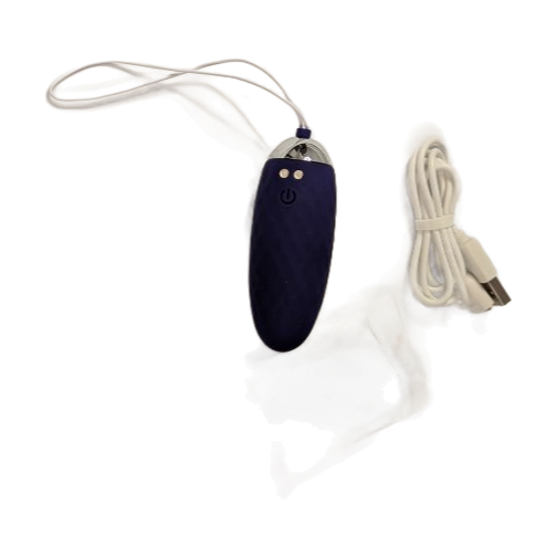 Œuf vibrant télécommandé neuf