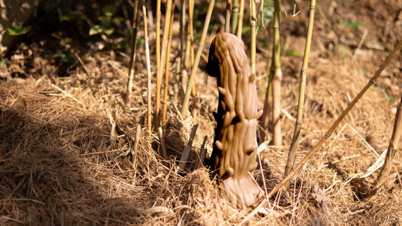 Woody, godemichet XXL en silicone premium 24 cm x 5,5 cm