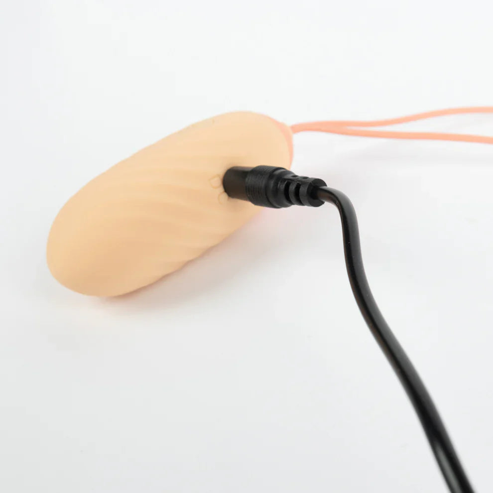 Cocotte, œuf vibrant télécommandé