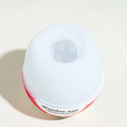 Œuf Surprise Wonder Egg