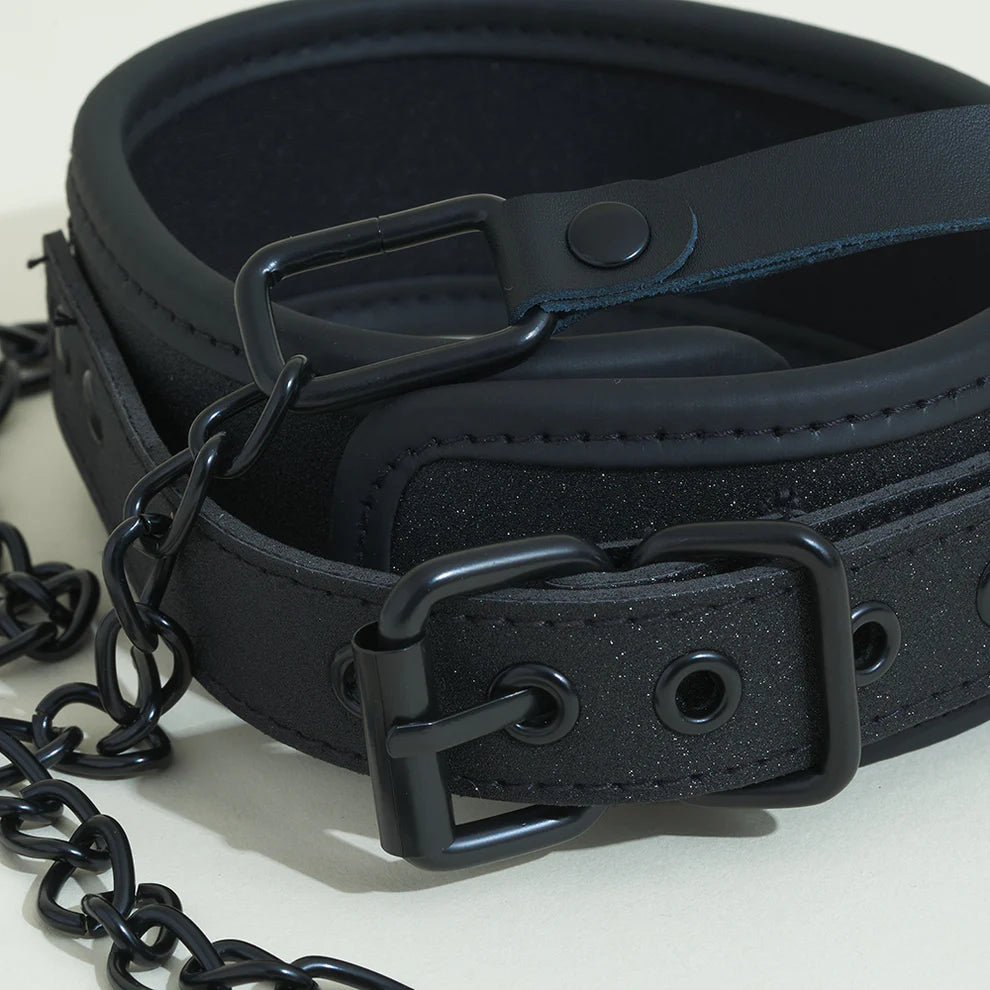 Collier et laisse by Pop