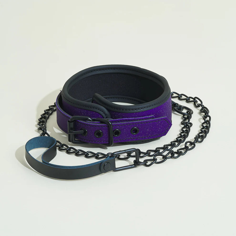 Collier et laisse by Pop