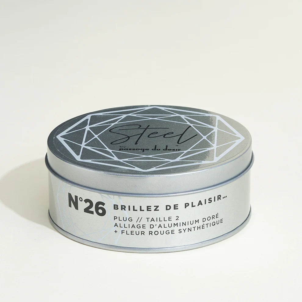 Plug métal avec rose rouge, Steel numéro 12