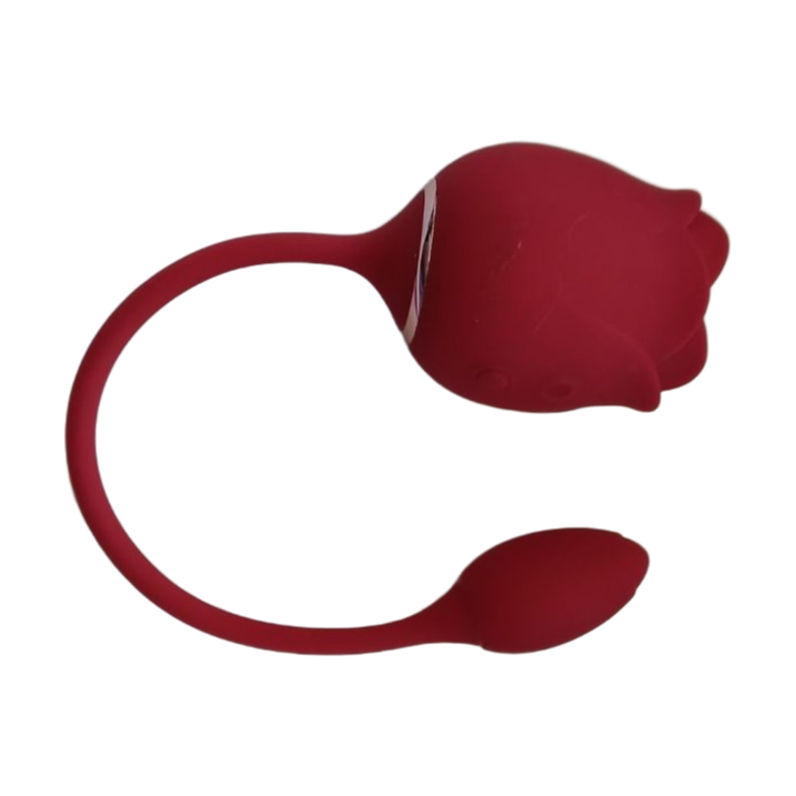 Fleur à air pulsé et oeuf vibrant en silicone