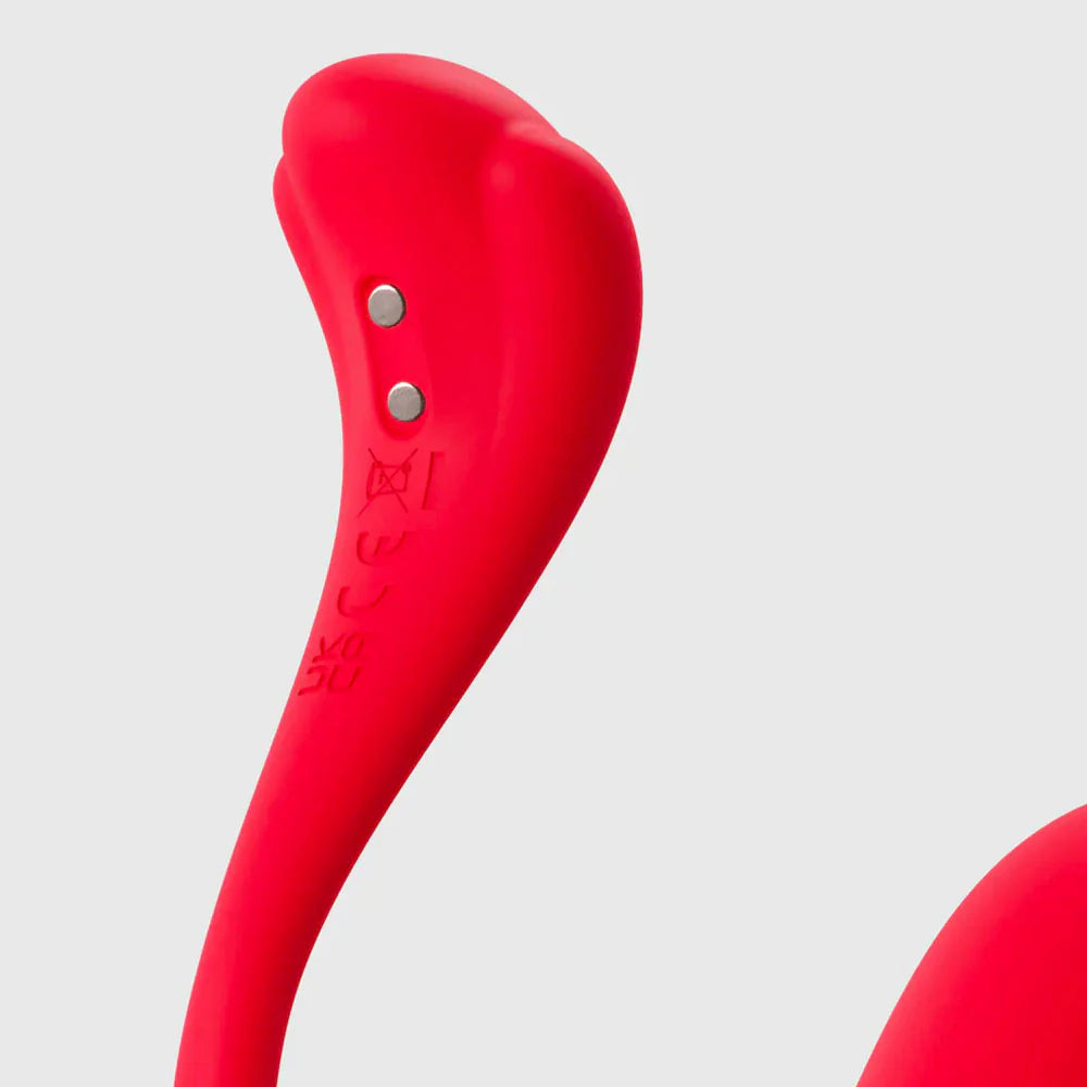 Phoenix Neo 2, Œuf vibrant connecté