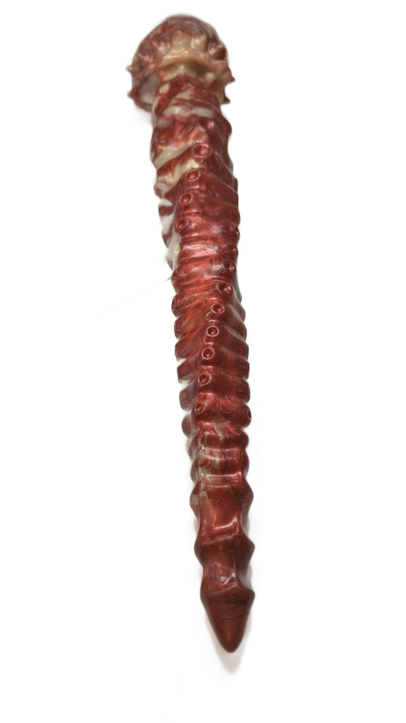 Longue tentacule en silicone