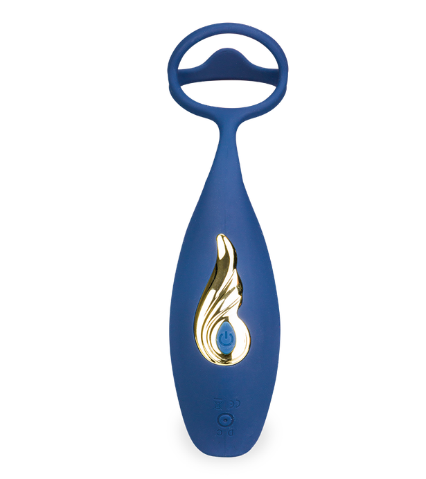 Stimulateur de prostate vibrant et va-et-vient Chicago