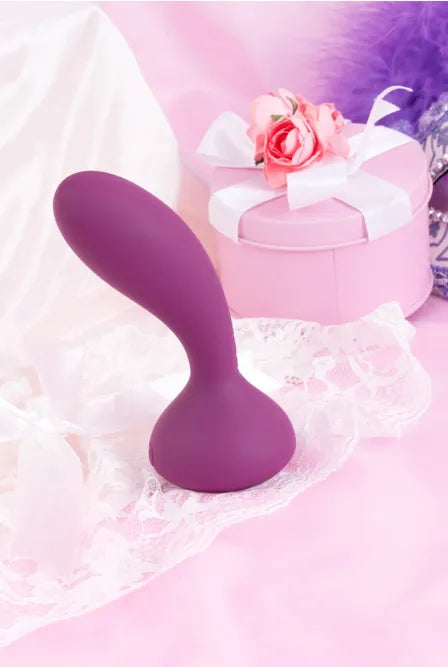 Plug Anal Télécommandé Julie