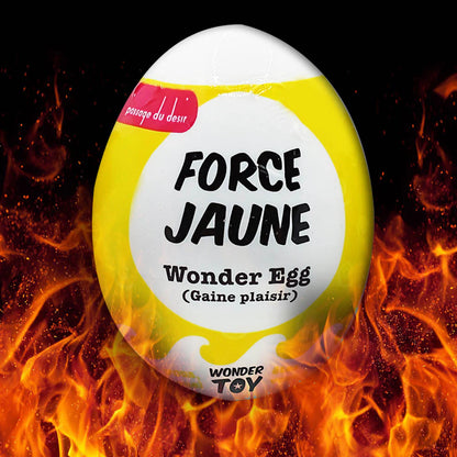 Œuf Surprise Wonder Egg