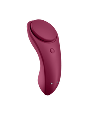 Sexy Secret, Panty Vibrator + free app